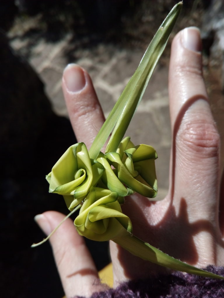 Grass shaped into a ring with flowers