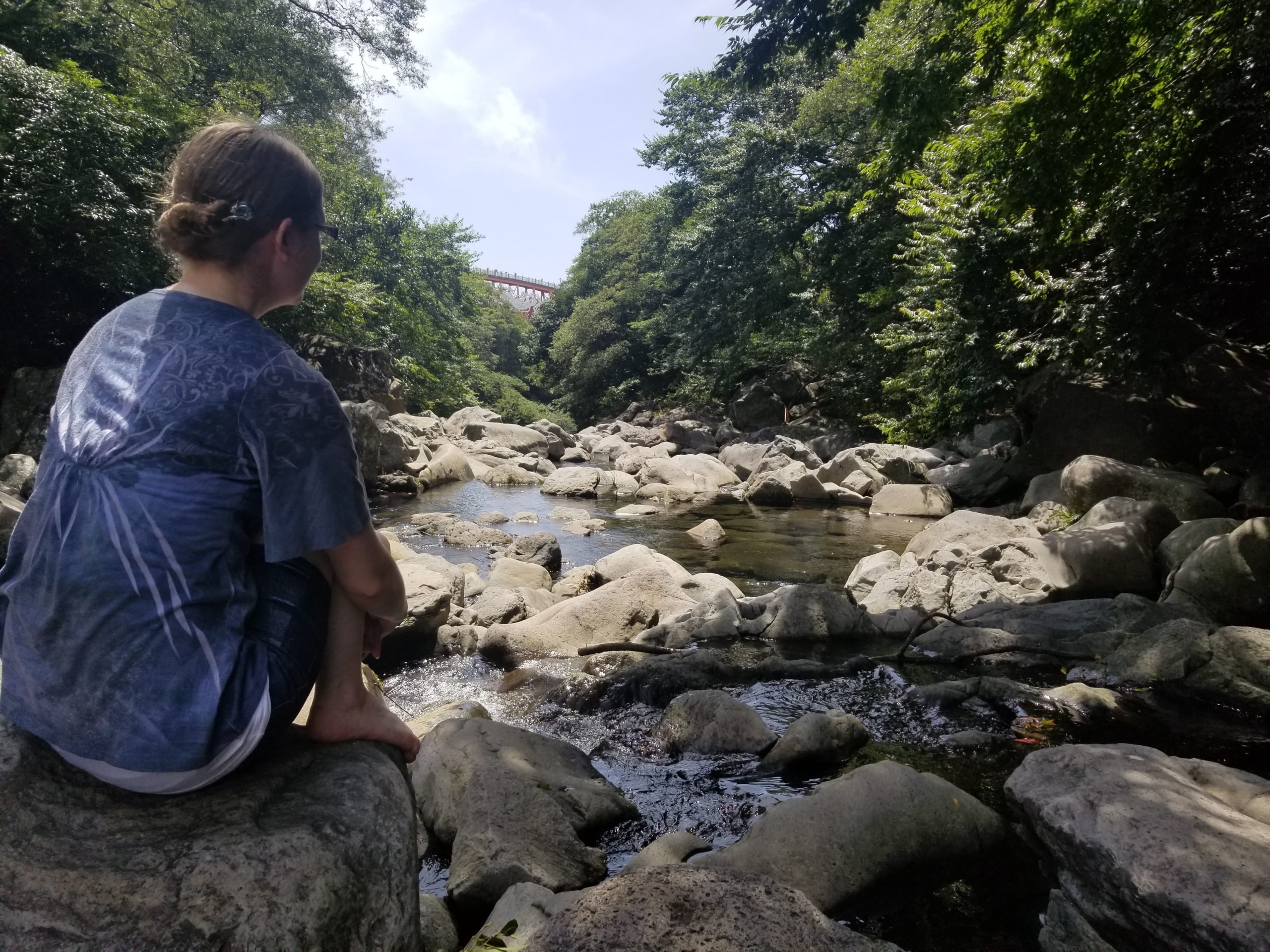 Looking over a stream in Jeju Island, South Korea